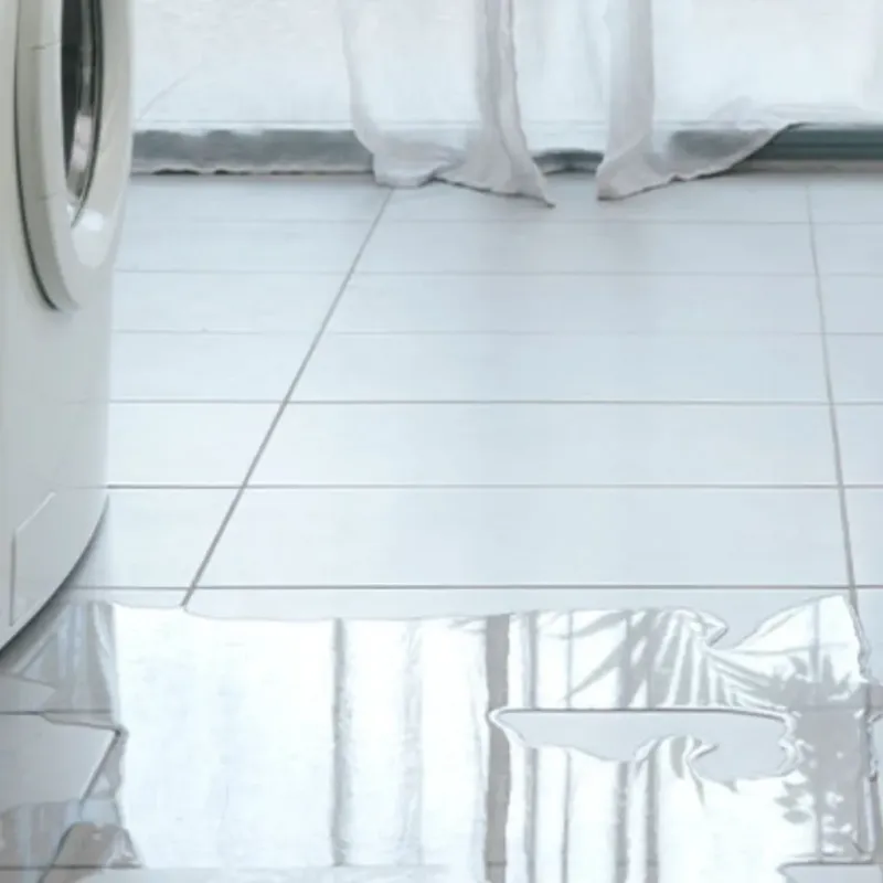 Appliance Leak Cleanup in Foley, AL
